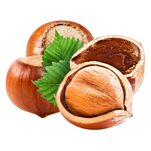 Hazelnut